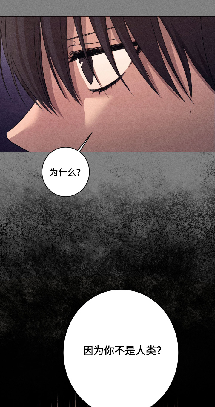 恶魔的邀约漫画,第28章：重要的人1图