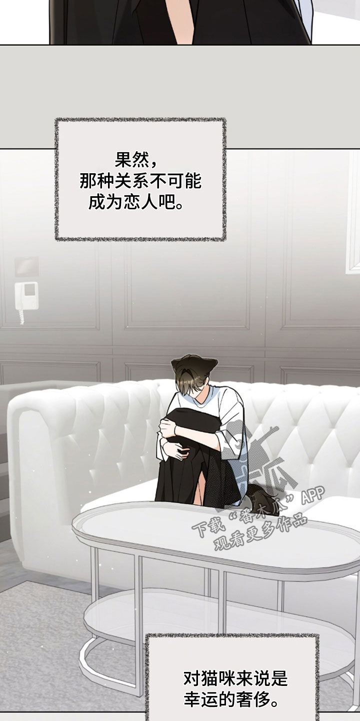 我的黑猫少年漫画,第55章：幸运的奢侈2图