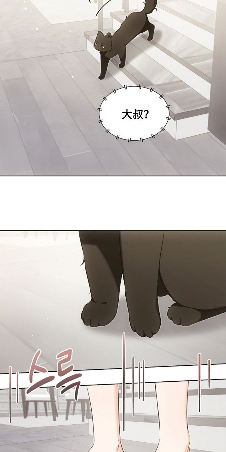 我的黑猫少年韩漫漫画,第55章：幸运的奢侈5图