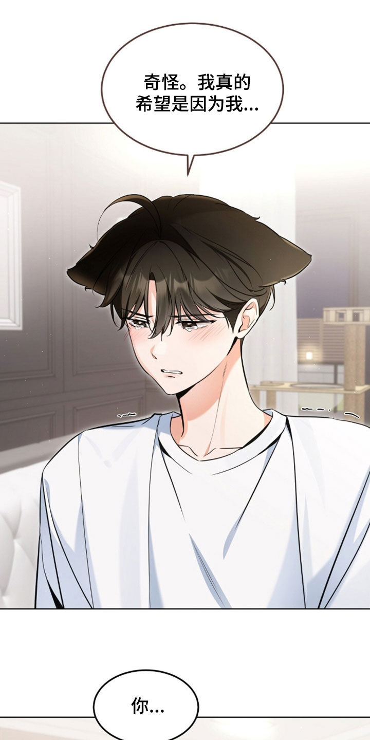 我的黑猫少年韩漫免费阅读漫画,第57章：为什么这么伤心4图