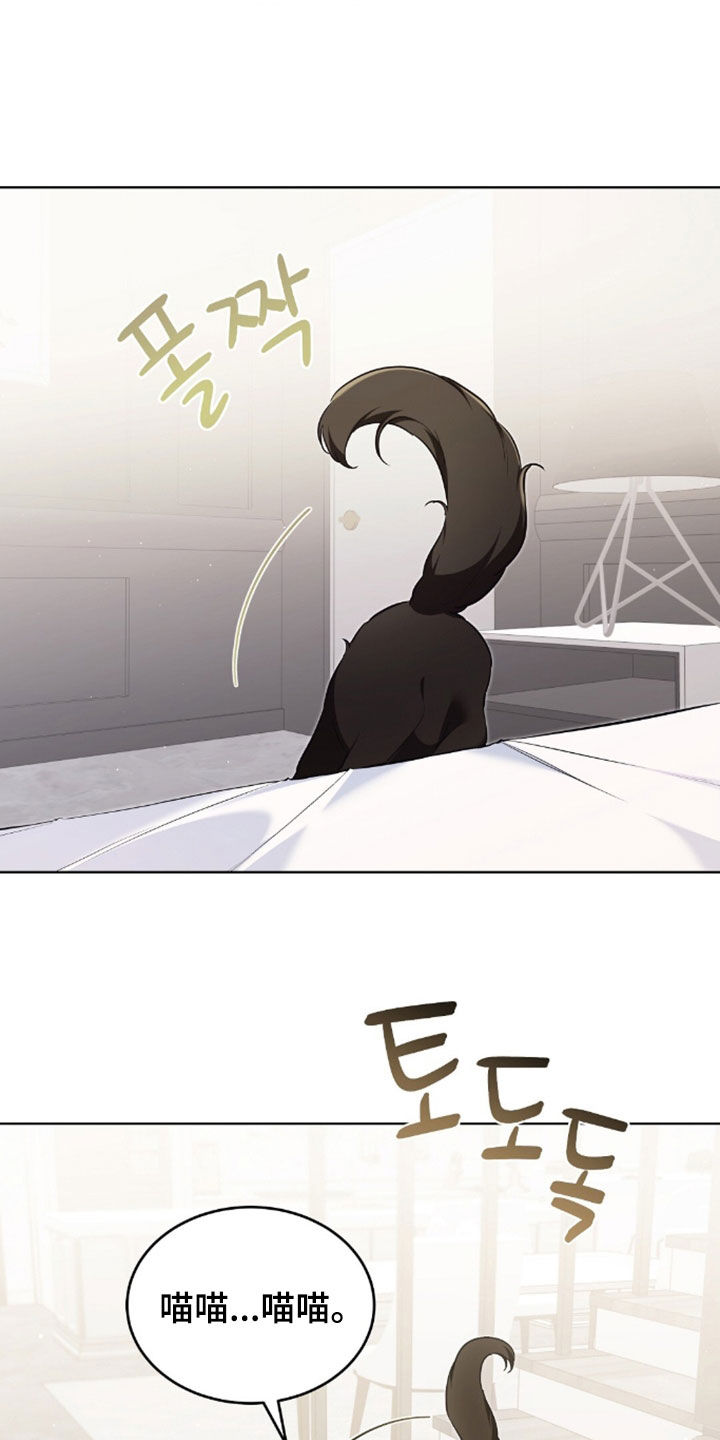 我的黑猫少年韩漫漫画,第55章：幸运的奢侈4图
