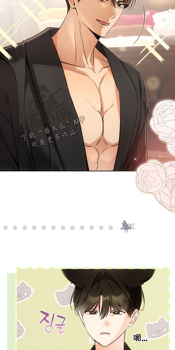 《我的黑猫少年》漫画漫画,第53章：努力生活3图