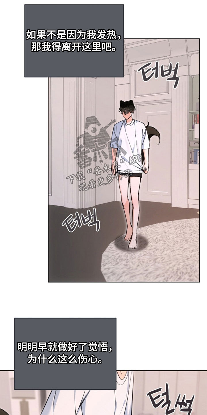 我的黑猫少年韩漫免费阅读漫画,第57章：为什么这么伤心3图