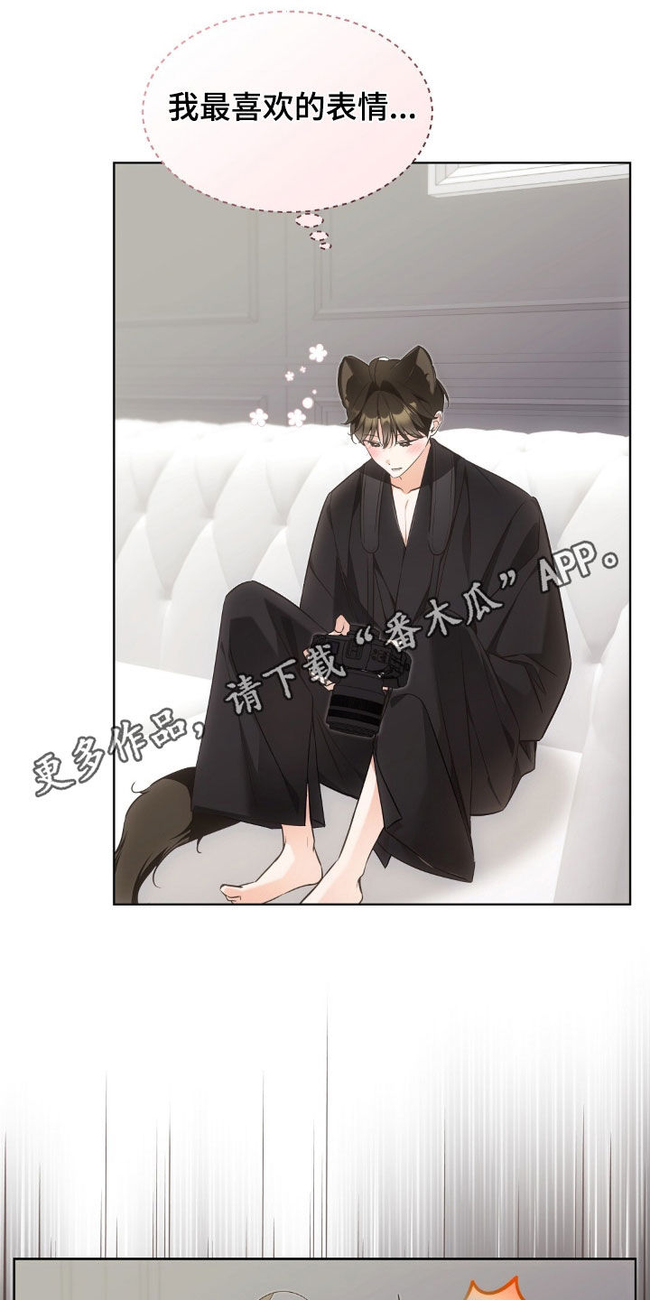 《我的黑猫少年》漫画漫画,第53章：努力生活1图