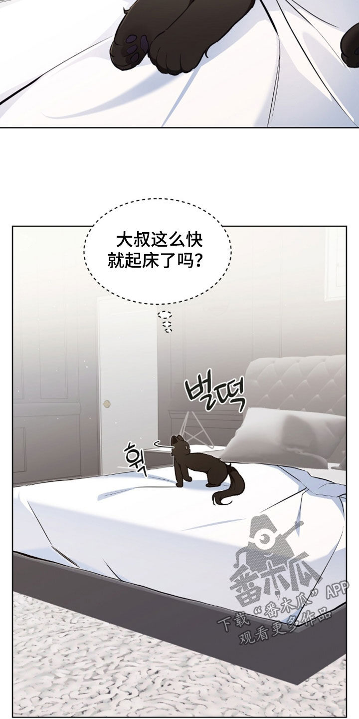 我的黑猫少年韩漫漫画,第55章：幸运的奢侈3图