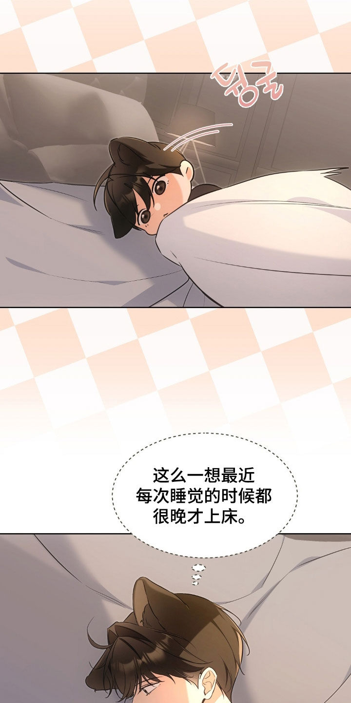 我的黑猫少年合集漫画,第54章：真的要疯了2图
