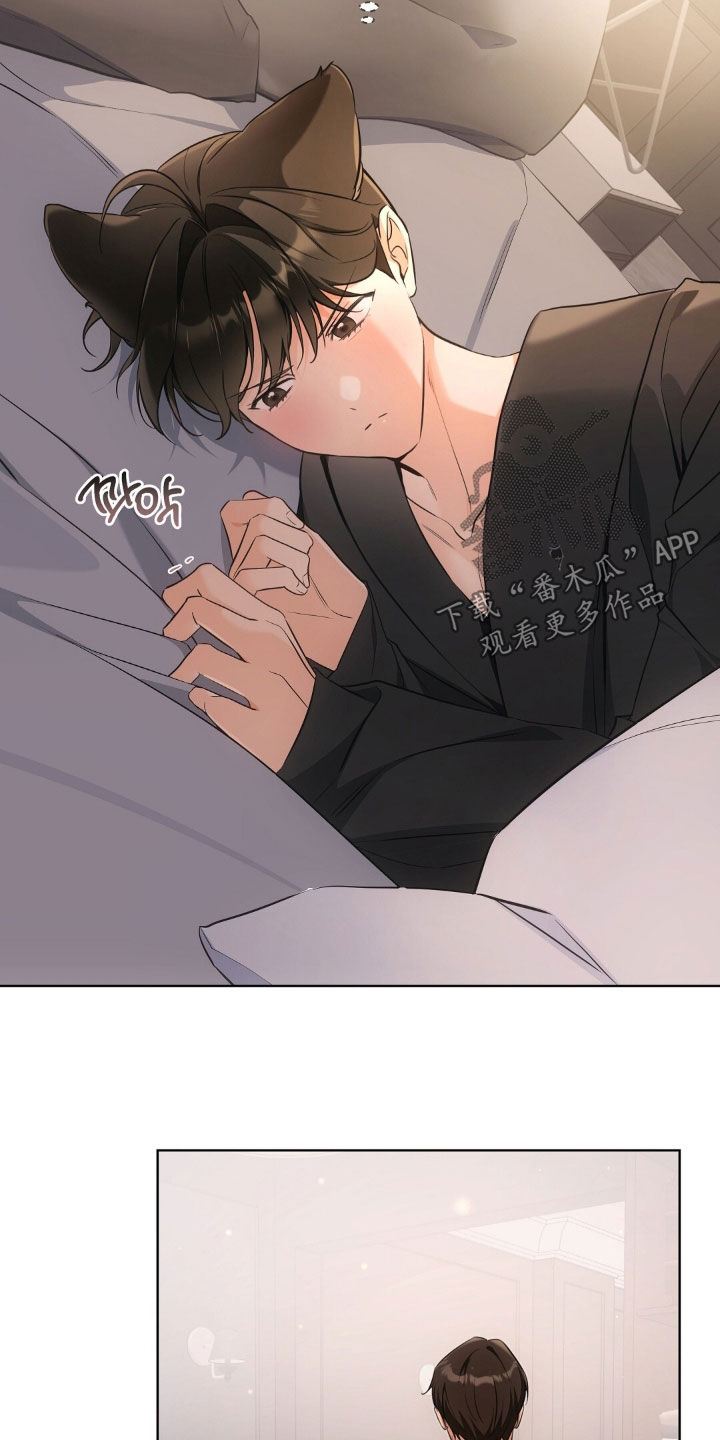 我的黑猫少年合集漫画,第54章：真的要疯了5图