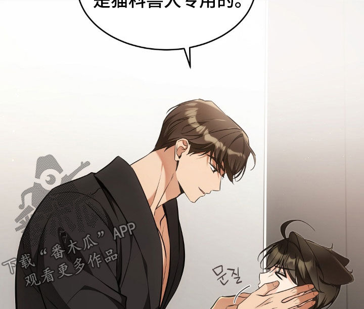 《我的黑猫少年》漫画漫画,第53章：努力生活2图