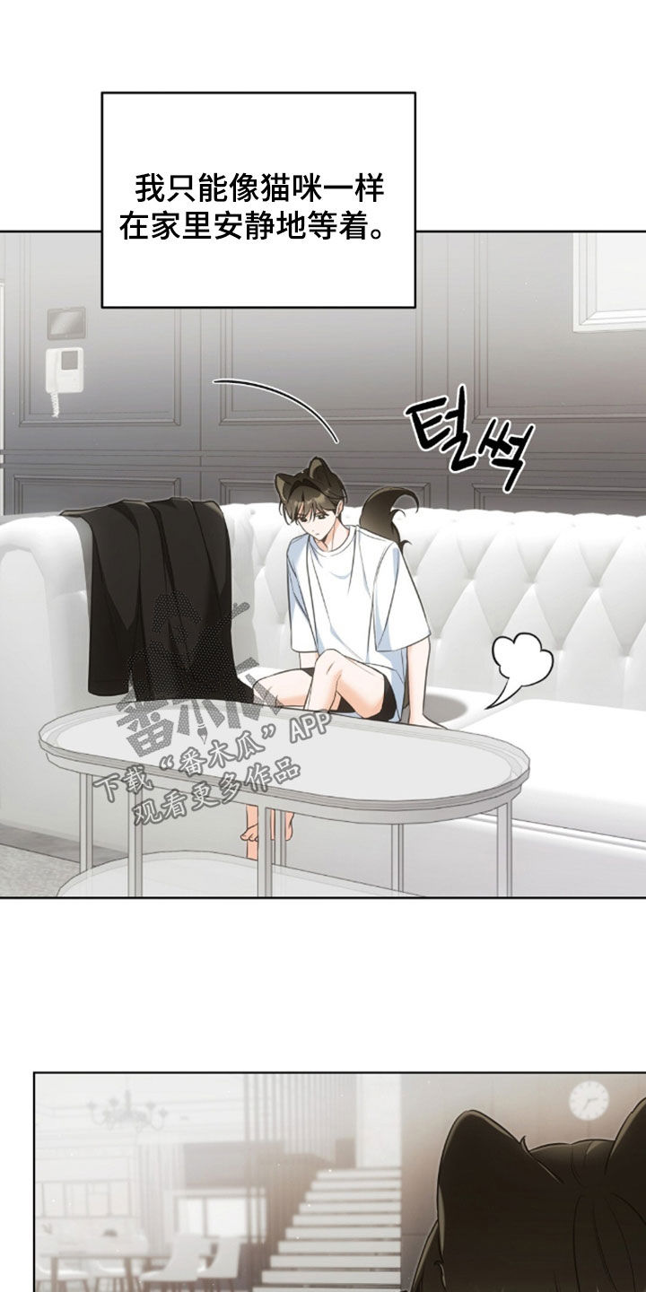 我的黑猫少年韩漫漫画,第55章：幸运的奢侈5图
