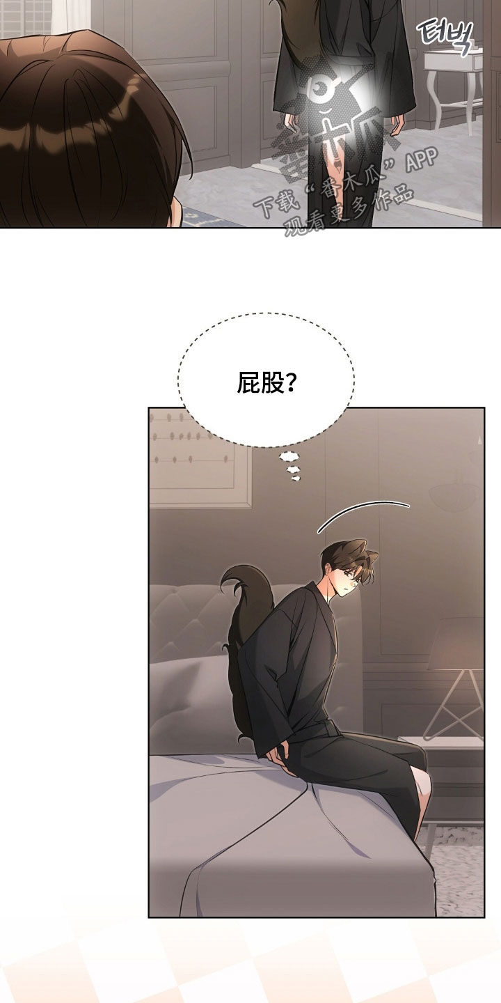 我的黑猫少年合集漫画,第54章：真的要疯了1图