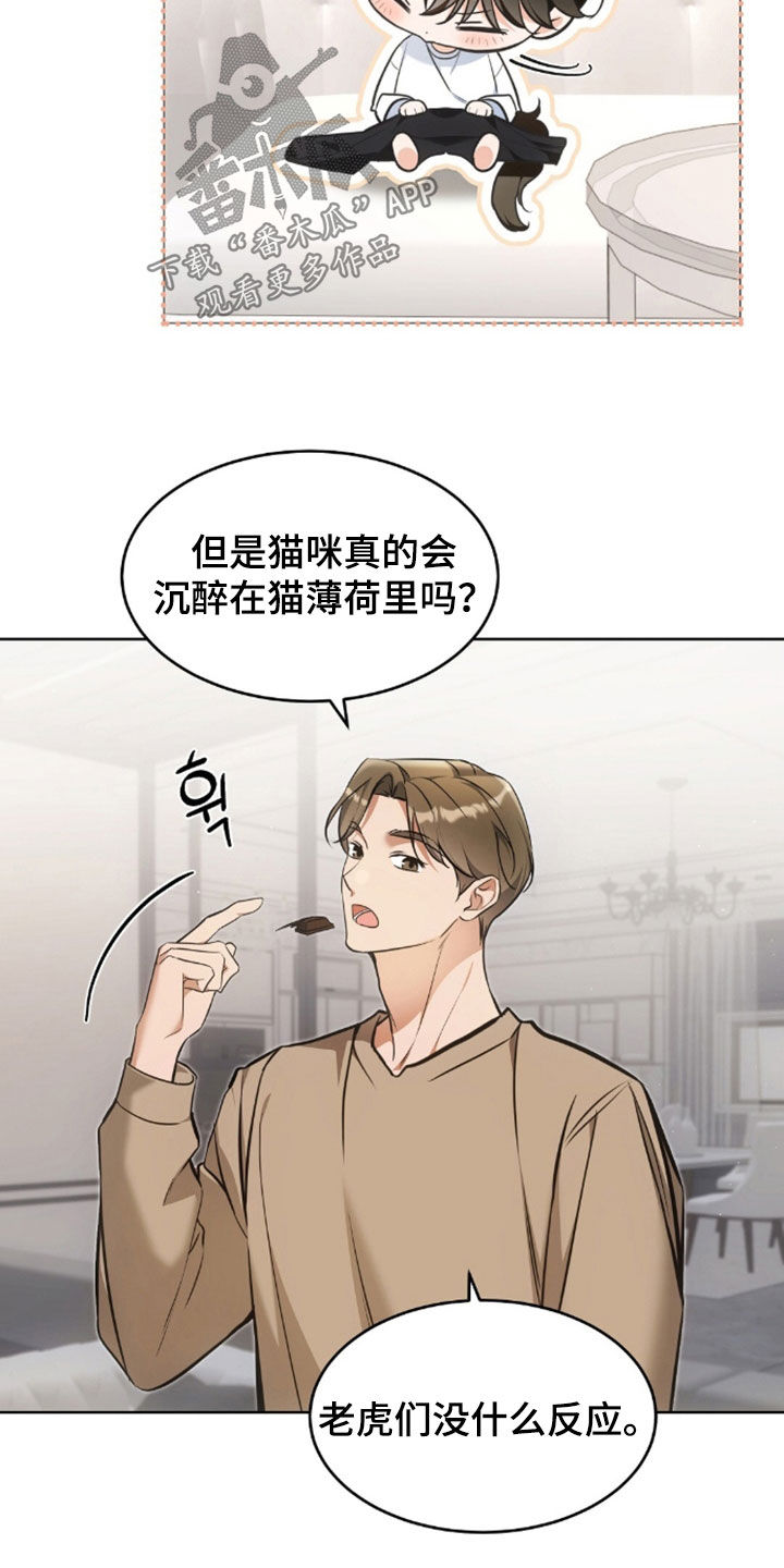我的黑猫少年韩漫免费阅读漫画,第56章：也许是因为我2图