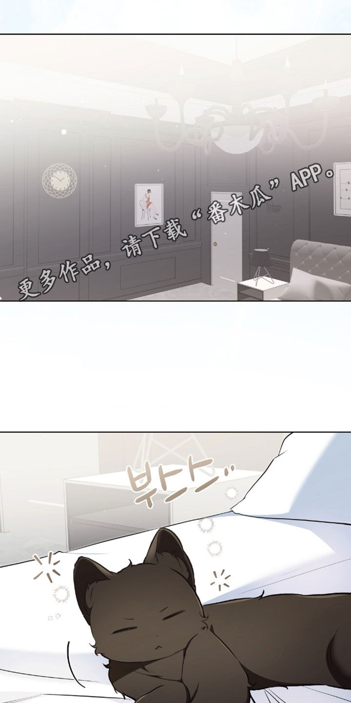 我的黑猫少年韩漫漫画,第55章：幸运的奢侈2图