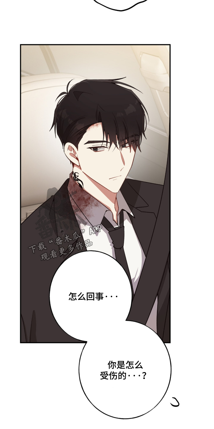 心窗之外漫画,第51章：我可以理解1图