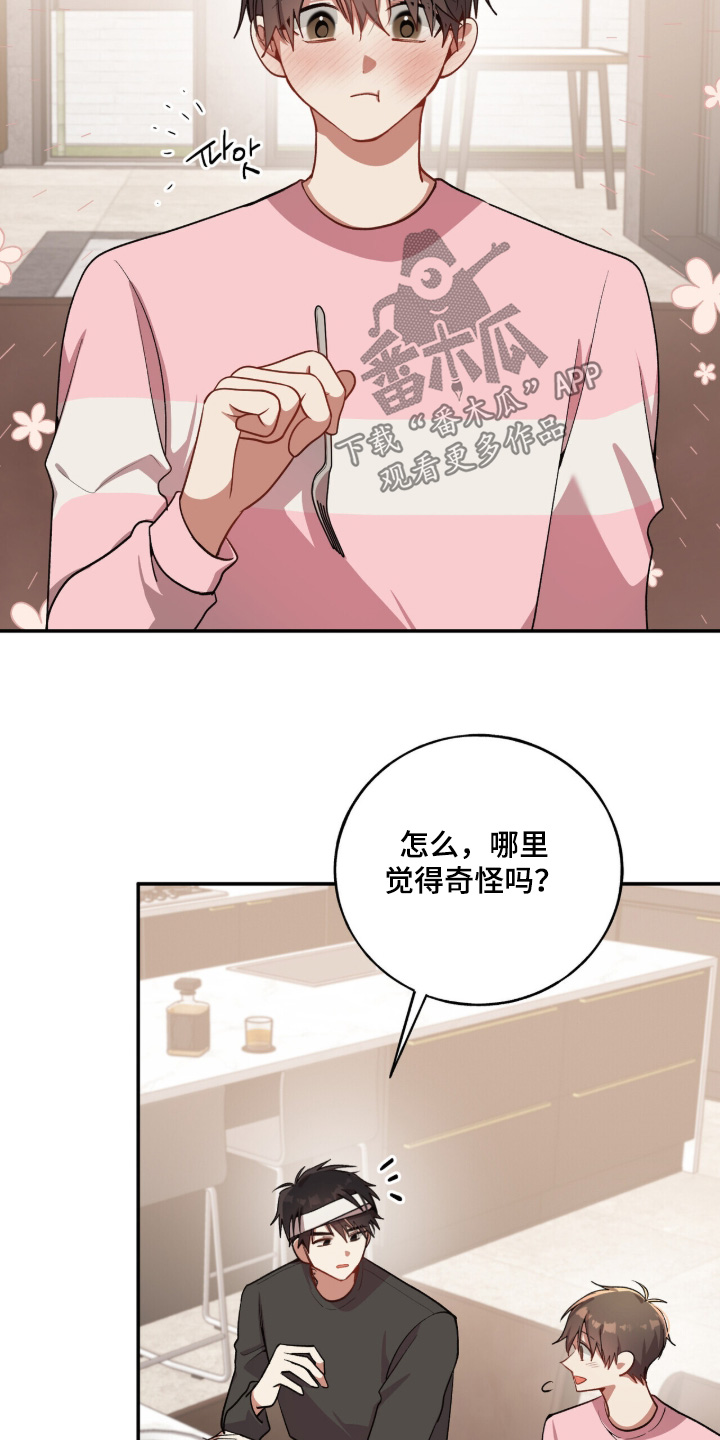 心窗之外漫画,第53章：很好吃1图