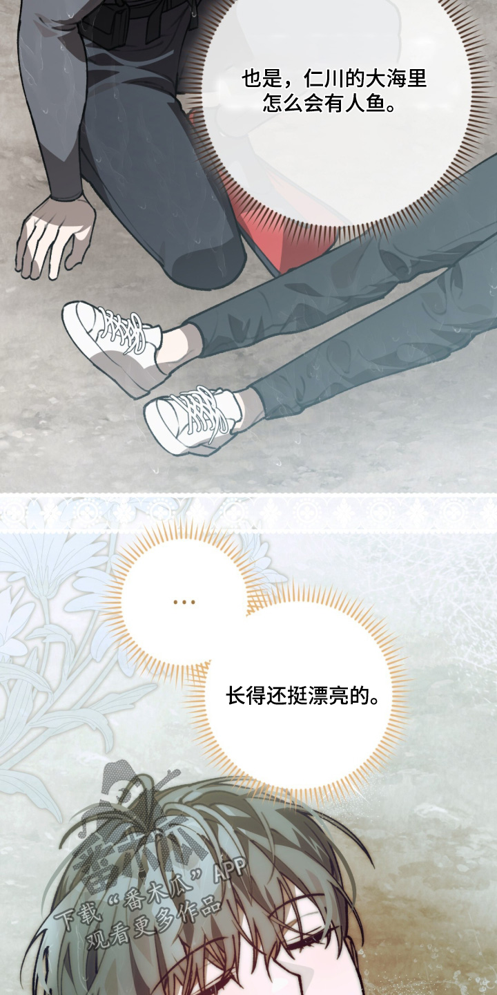 我捡垃圾养你啊漫画,第47章：作战计划2图