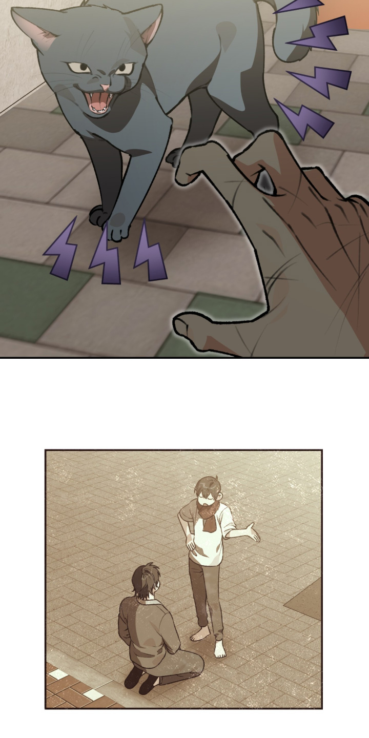 我捡垃圾养你啊漫画,第47章：作战计划5图
