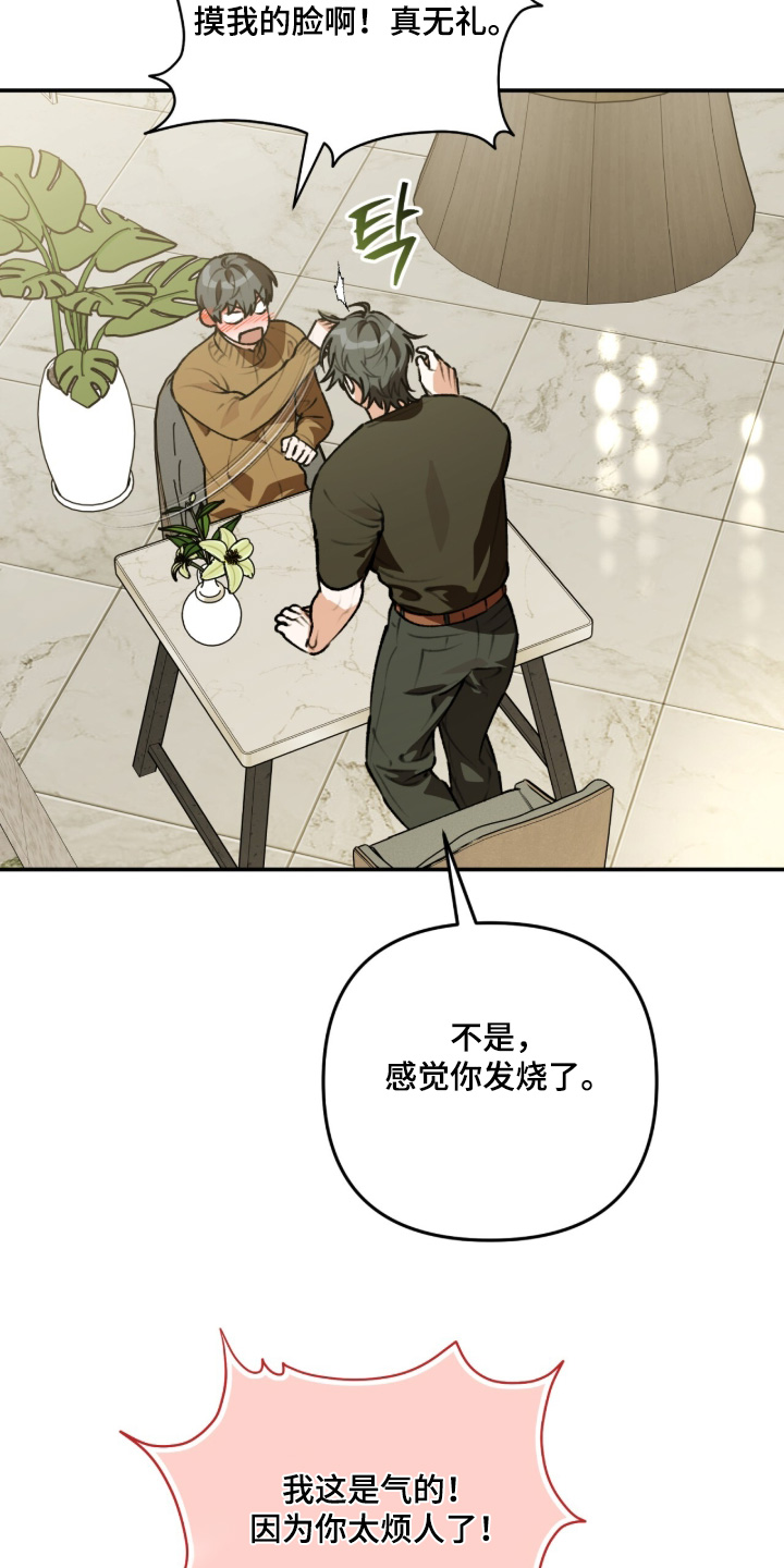我捡垃圾养你啊漫画,第48章：谢谢你1图