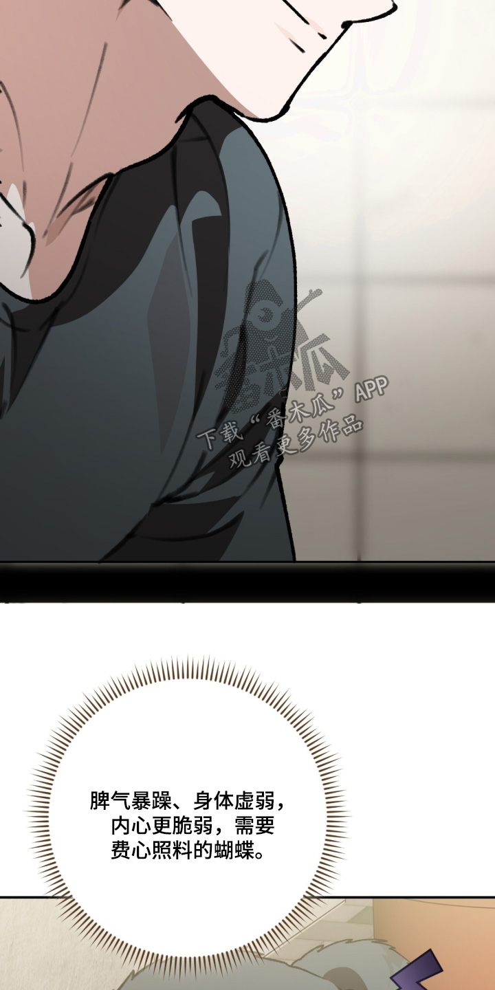 我捡垃圾养你啊漫画,第47章：作战计划4图