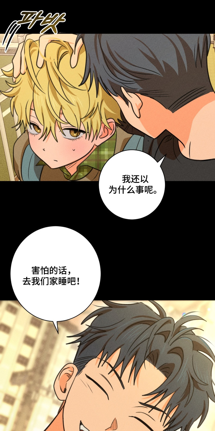 报复性依恋漫画,第33章：全是我的错1图