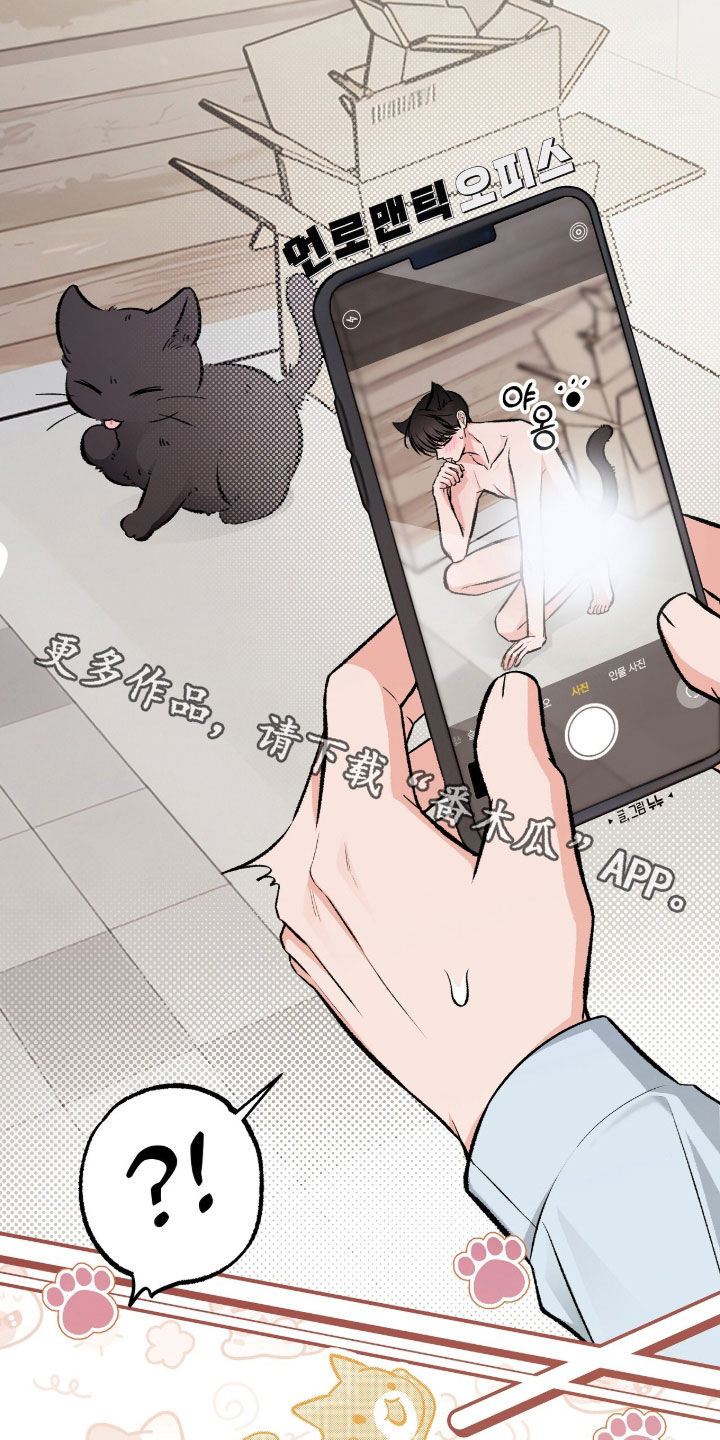 我的同事是冰山漫画,第47章：是我的5图