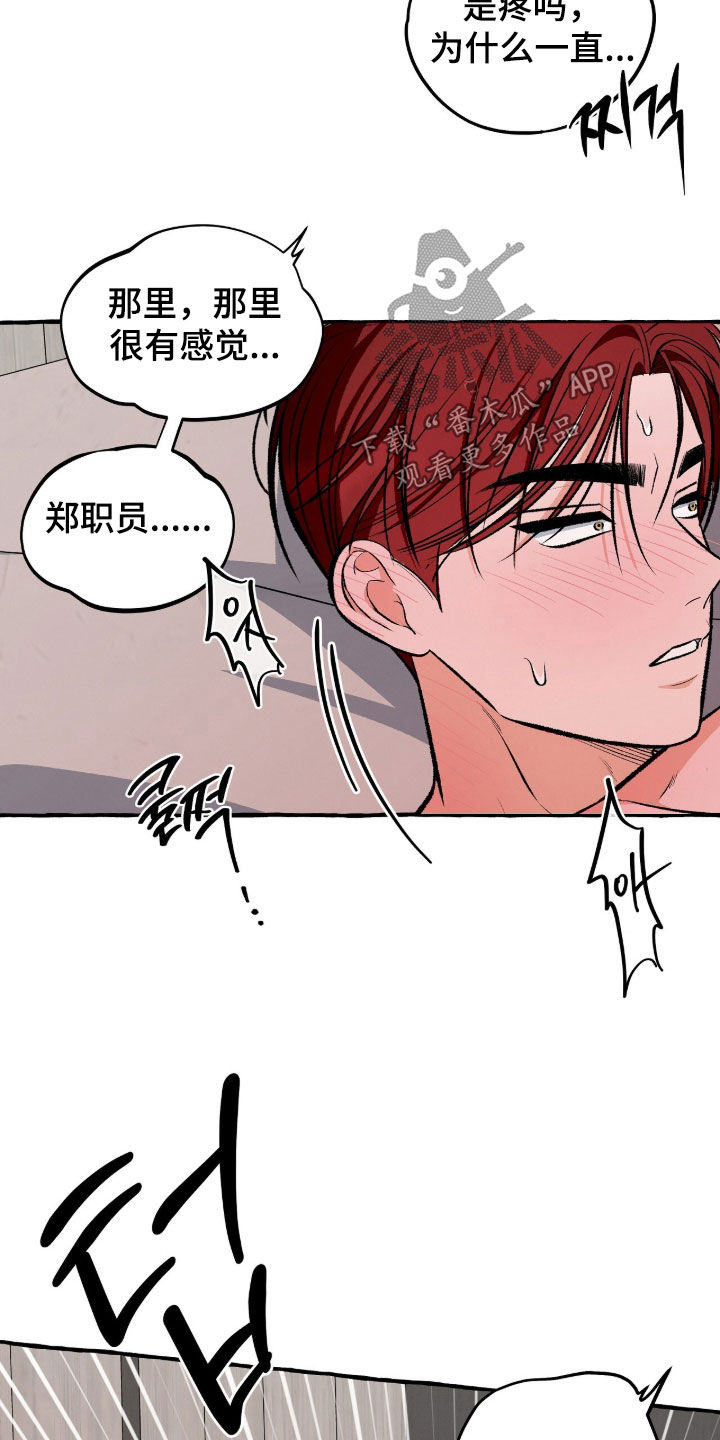 我的同事是冰山漫画,第43章：是习惯我了吗5图