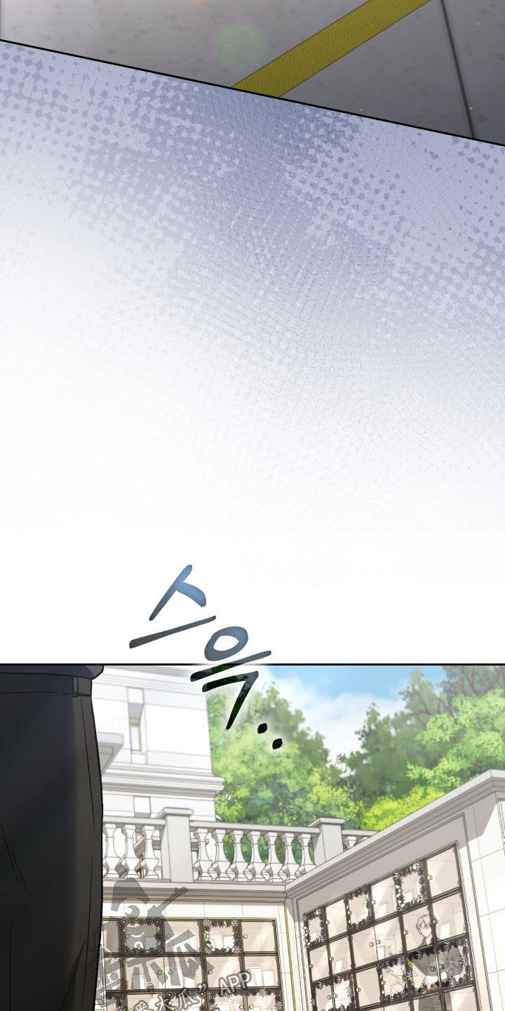 金眼陷阱剧情解析漫画,第39章：和我一起走吧1图