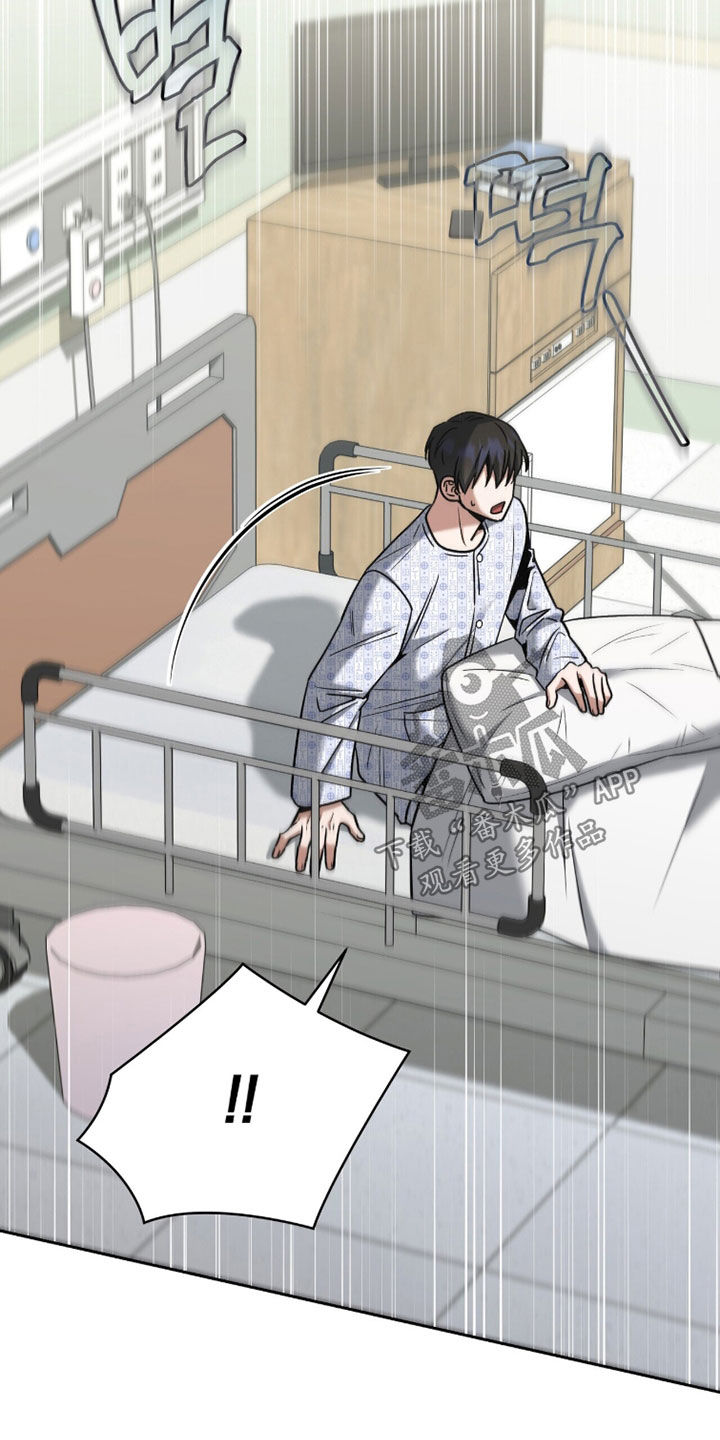 金眼陷阱剧情解析漫画,第36章：出院4图