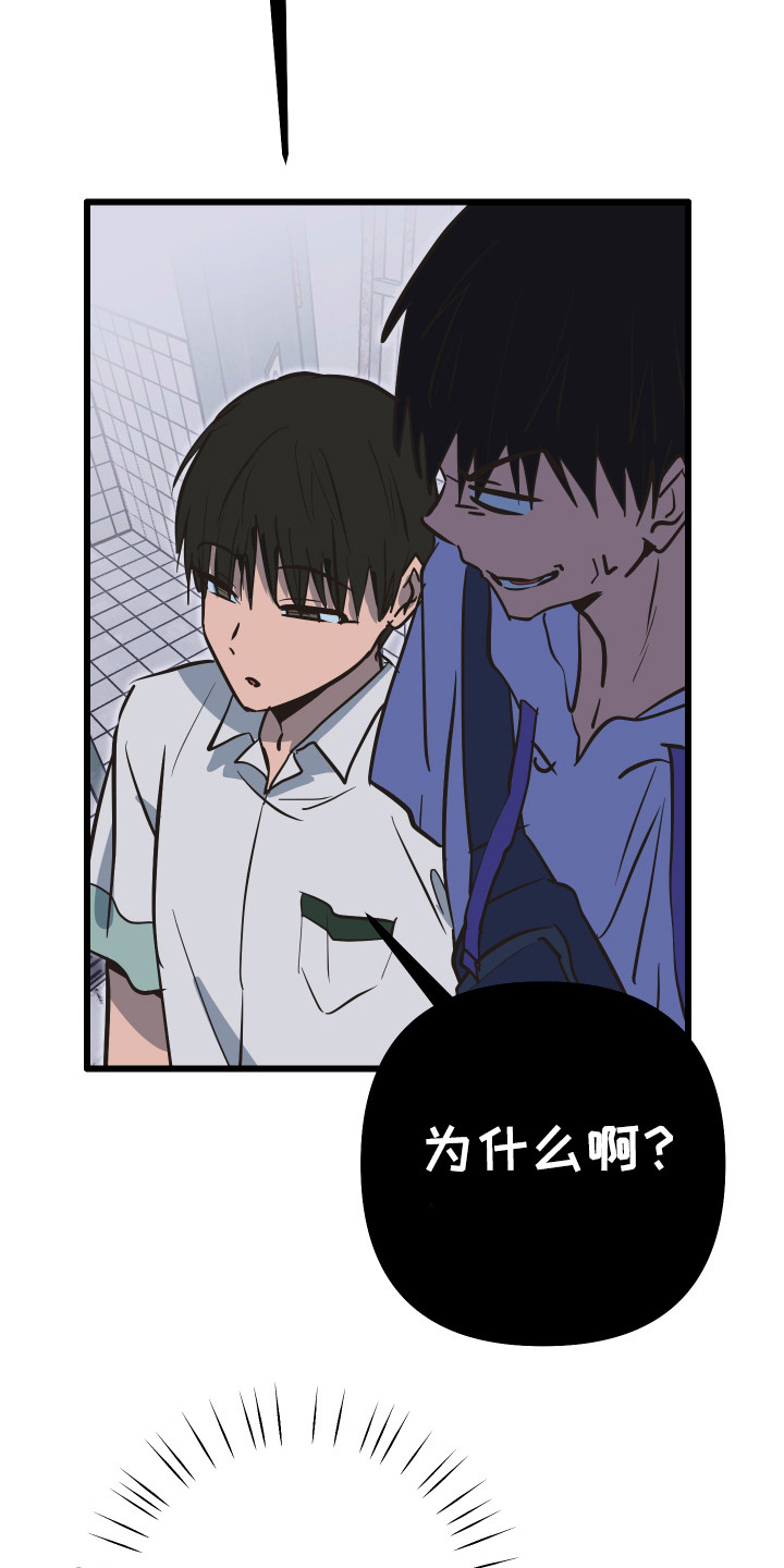 心跳加速遇难记讲什么漫画,第38章：滑跪道歉2图