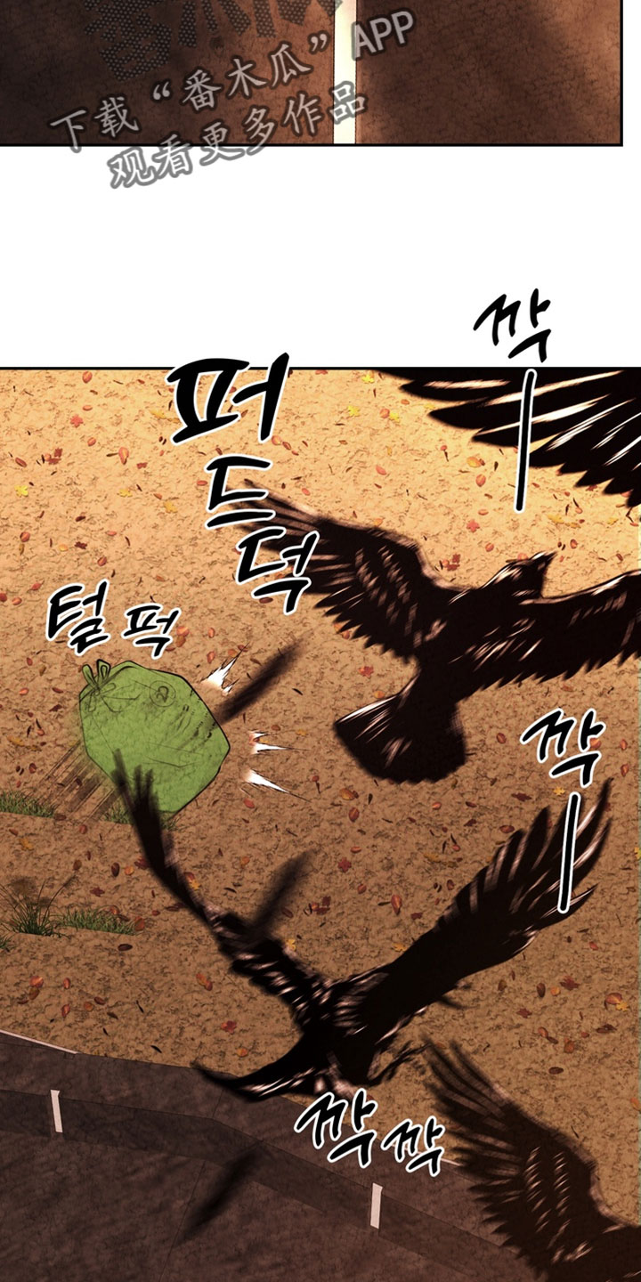 落饵之日漫画结局漫画,第34章：我会补偿你3图