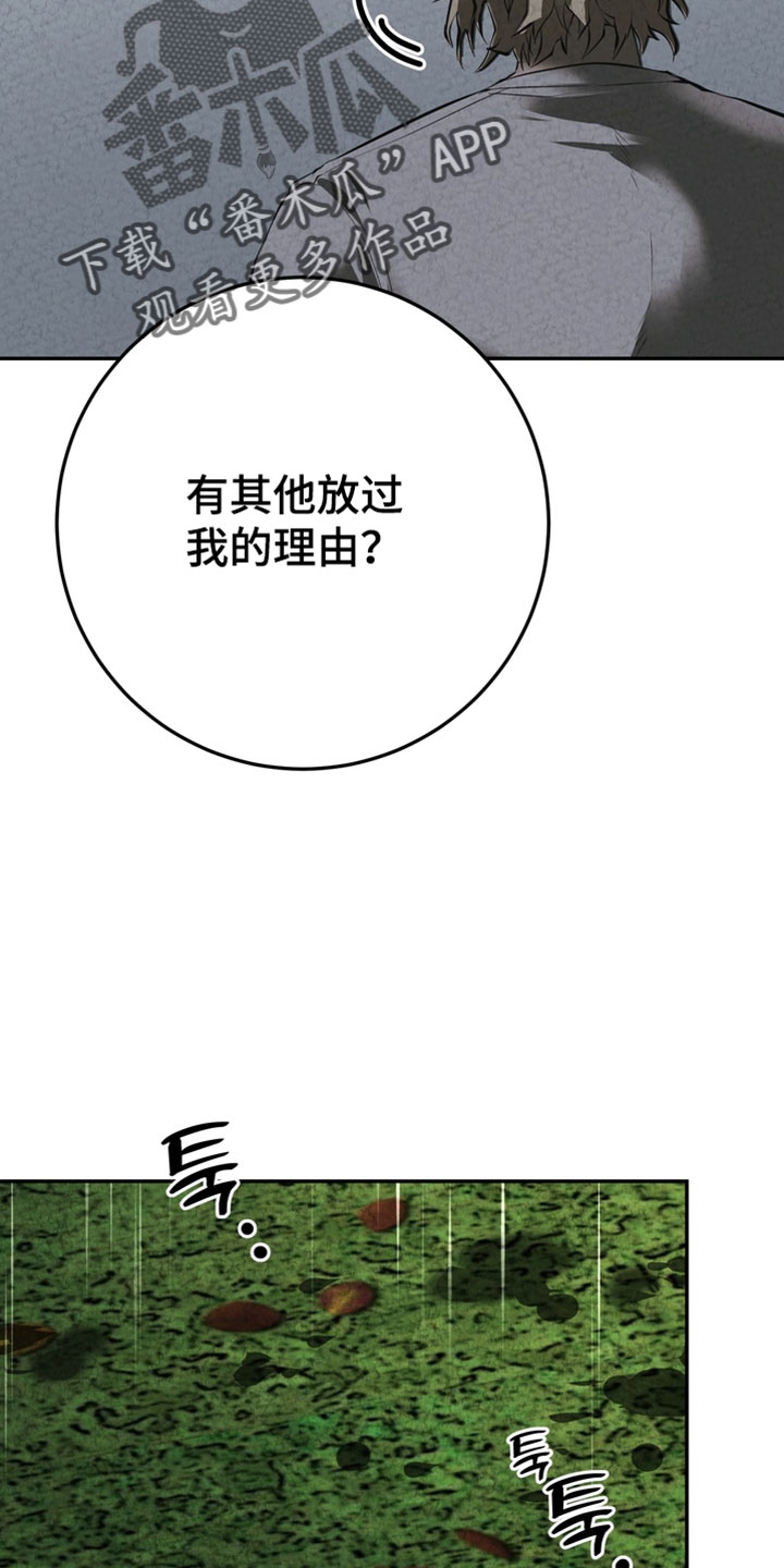 落饵之日漫画,第34章：我会补偿你4图