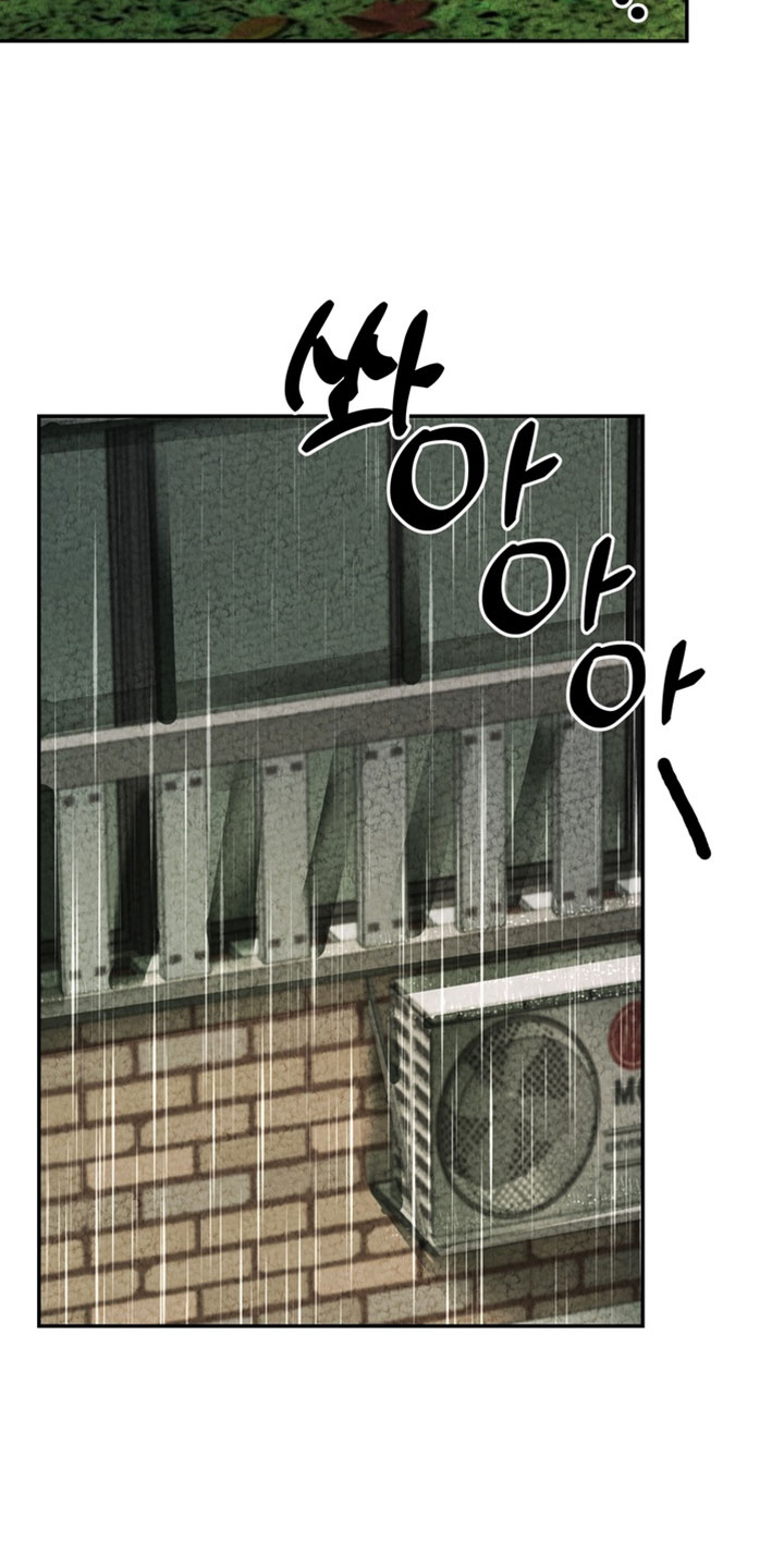 落饵之日漫画,第34章：我会补偿你5图