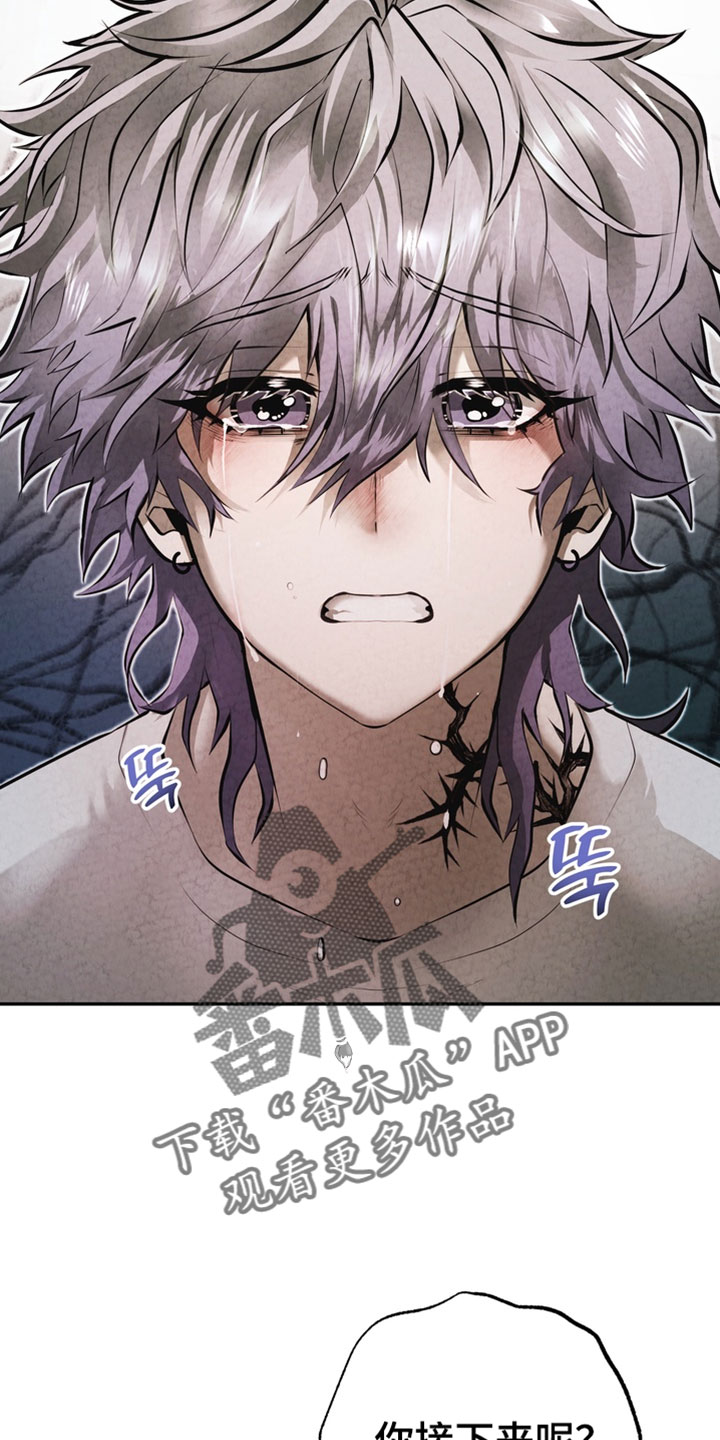 落饵之日漫画结局漫画,第35章：不要逃跑4图