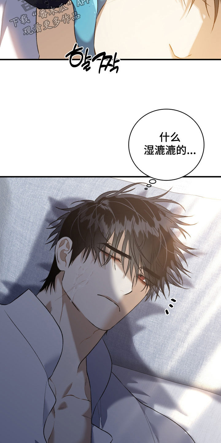 白夜的花路韩漫漫画,第43章：只对您固执5图