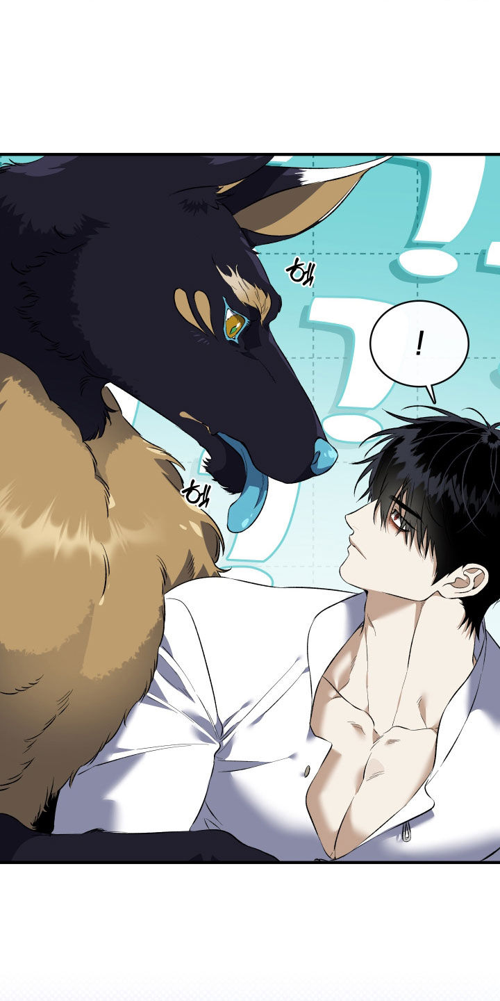 白夜的花路韩漫漫画,第43章：只对您固执3图