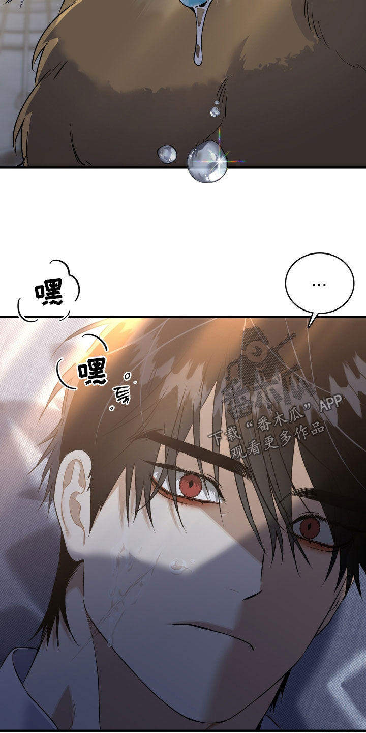 白夜的花路韩漫漫画,第43章：只对您固执2图