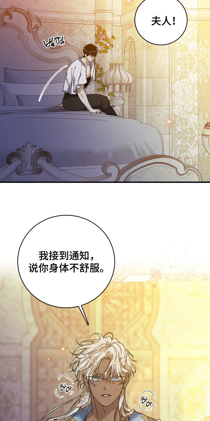 白夜的花路在线看漫画,第44章：后宫1图