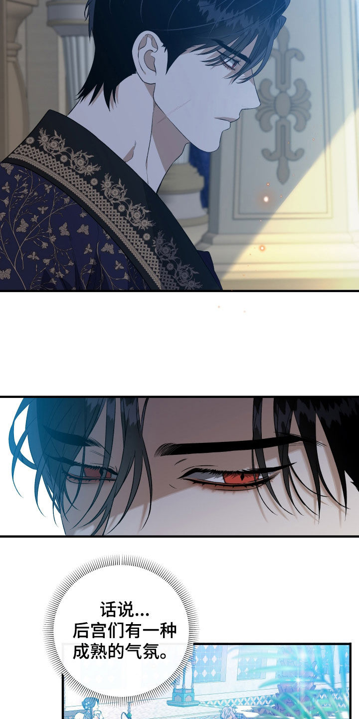 白夜的花路韩漫漫画,第44章：后宫3图