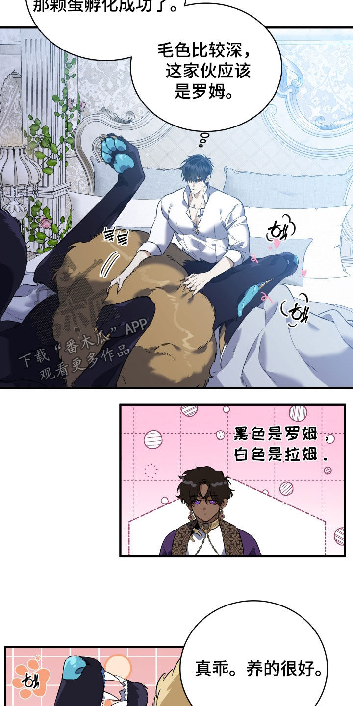 白夜的花路韩漫漫画,第43章：只对您固执5图