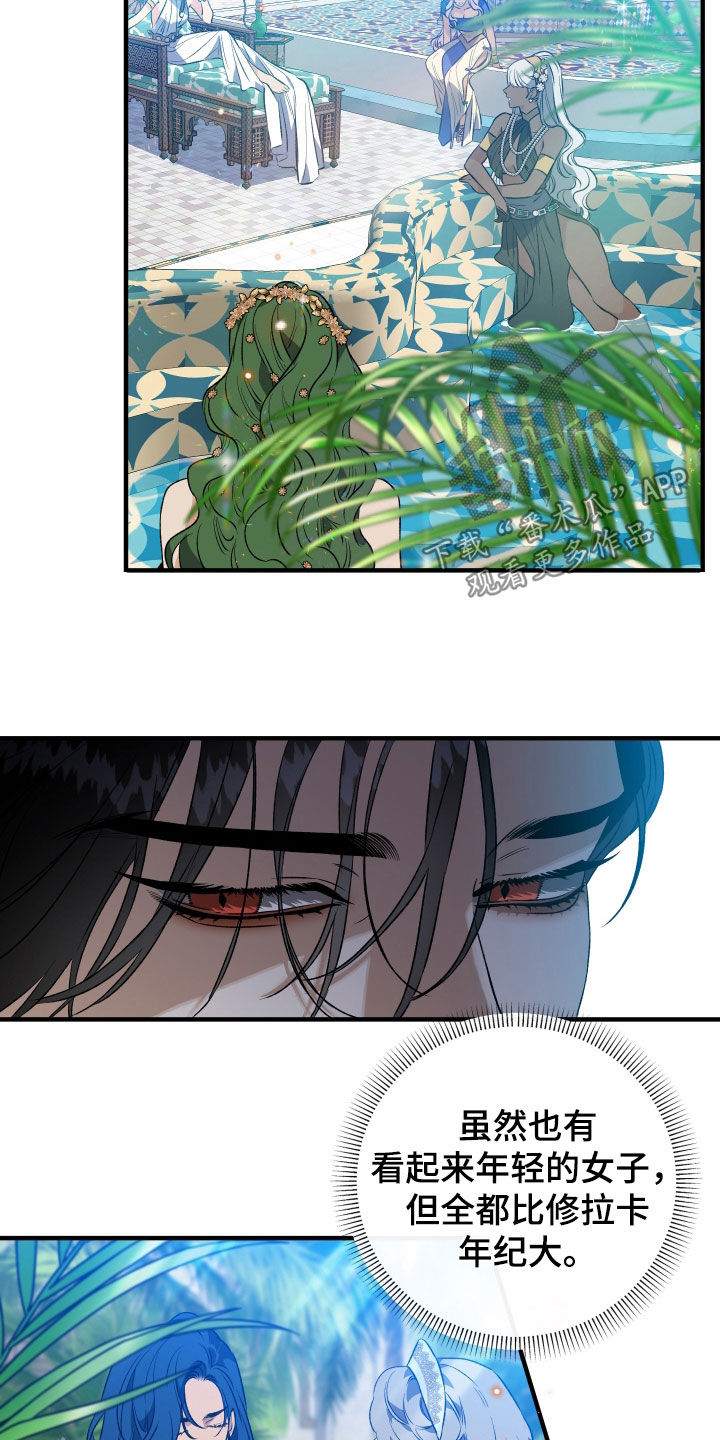 白夜的花路韩漫漫画,第44章：后宫4图