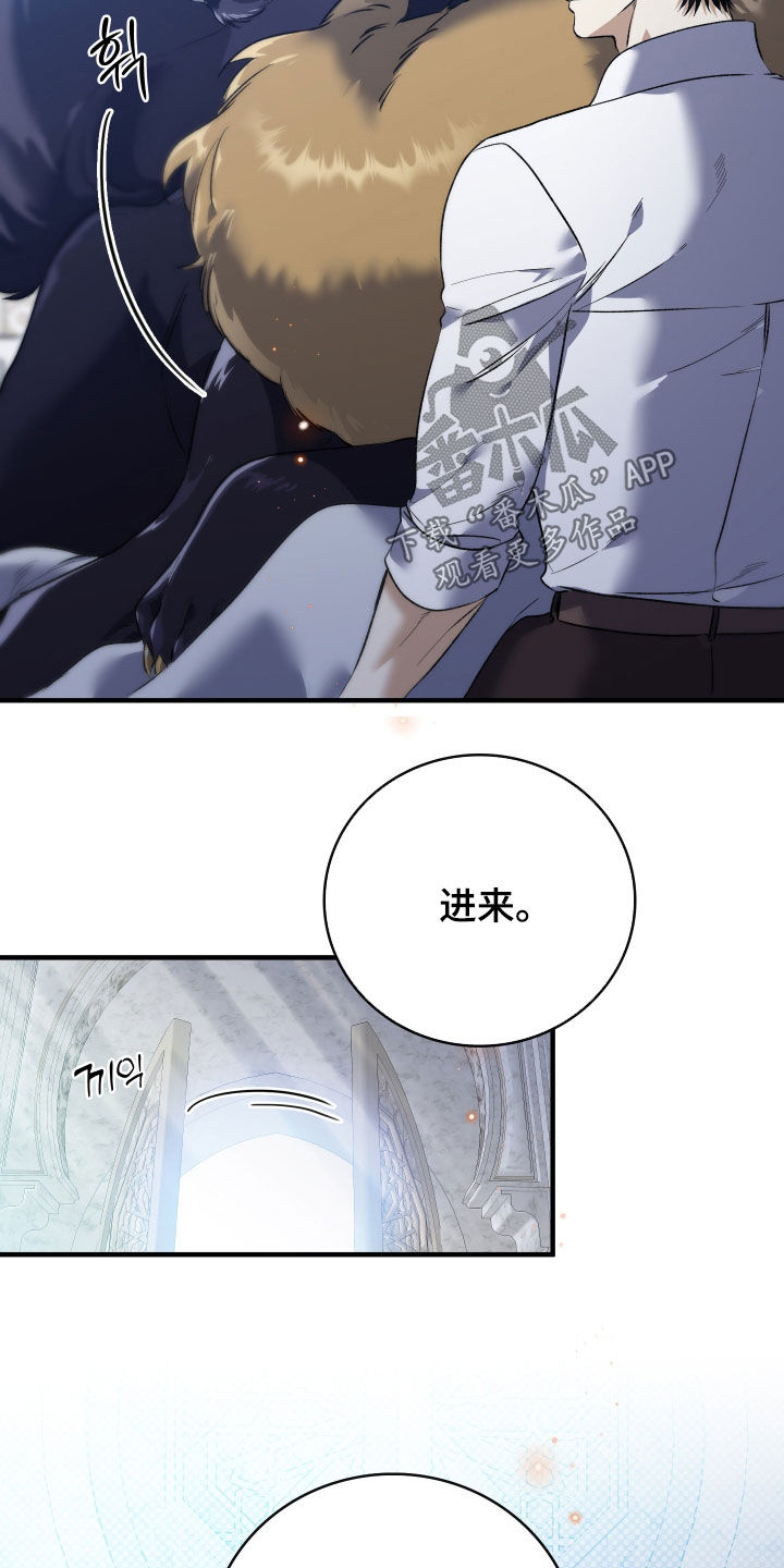 白夜的花路韩漫漫画,第43章：只对您固执2图