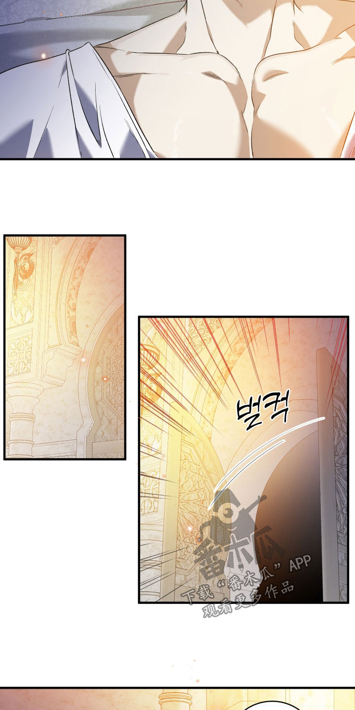 白夜的花路在线看漫画,第44章：后宫5图