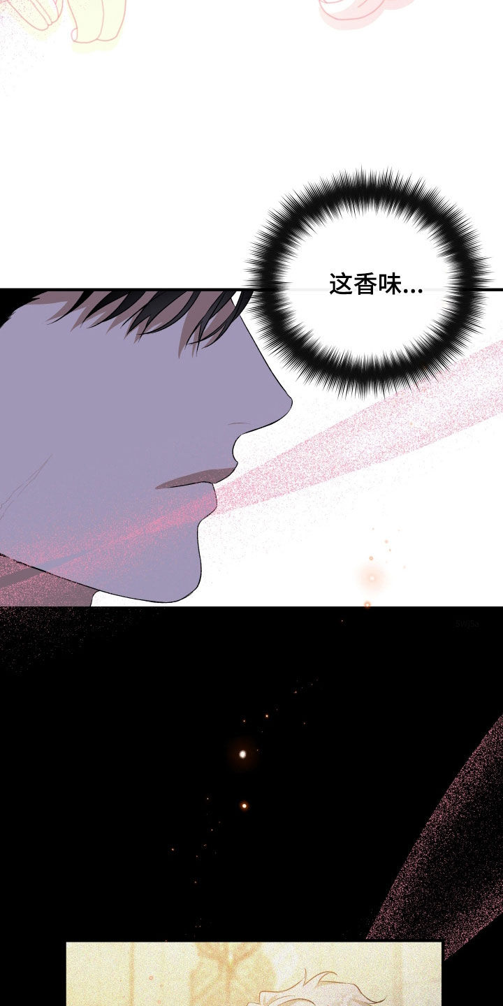 白夜的花路在线看漫画,第44章：后宫5图