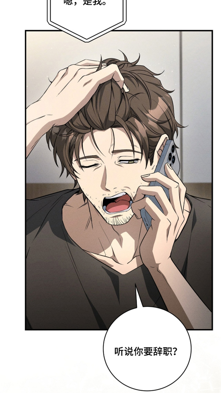 abo模式示意图漫画,第67章：你要辞职5图