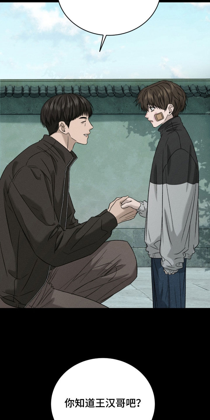 致命伪装在线免费观看漫画,第40章：收养4图