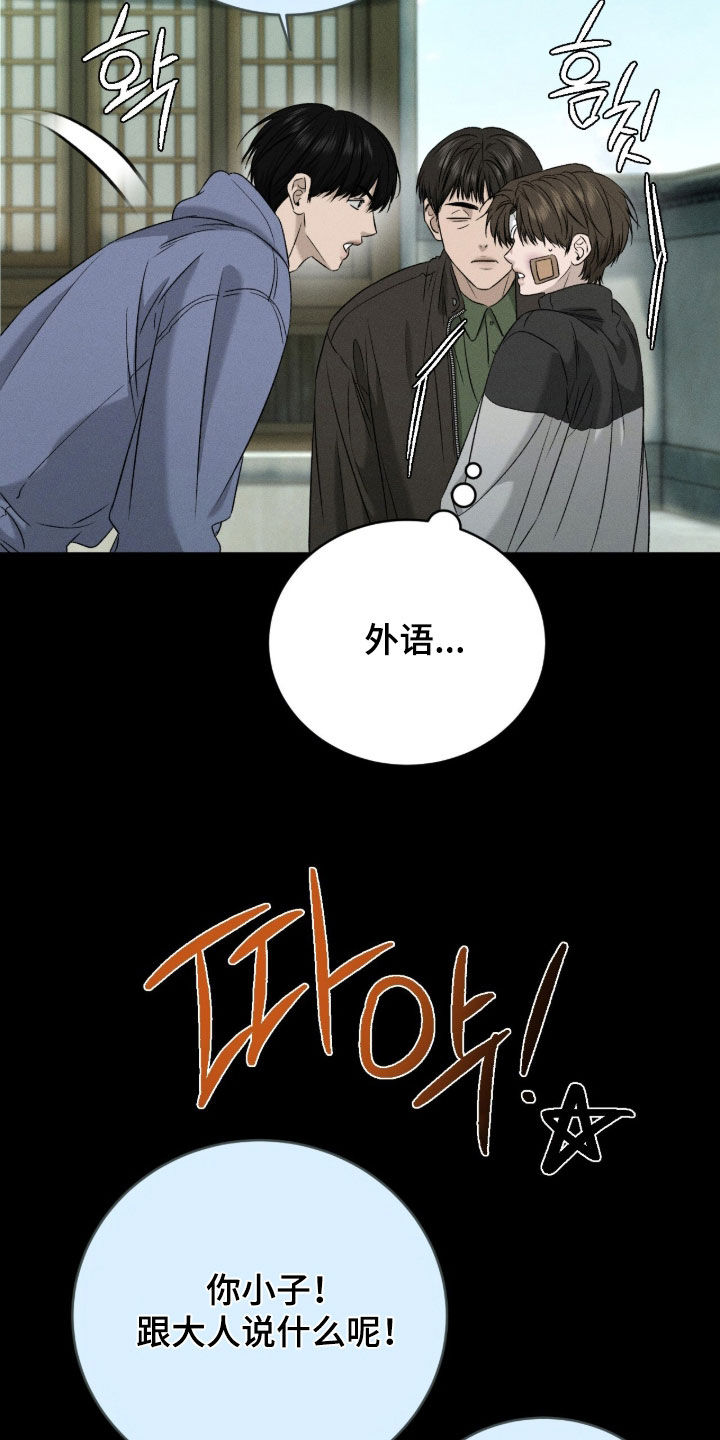 致命伪装在线免费观看漫画,第40章：收养5图