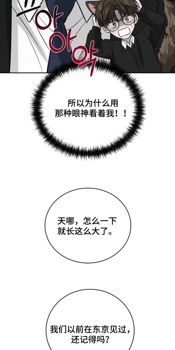 致命伪装在线免费观看漫画,第46章：姐弟3图