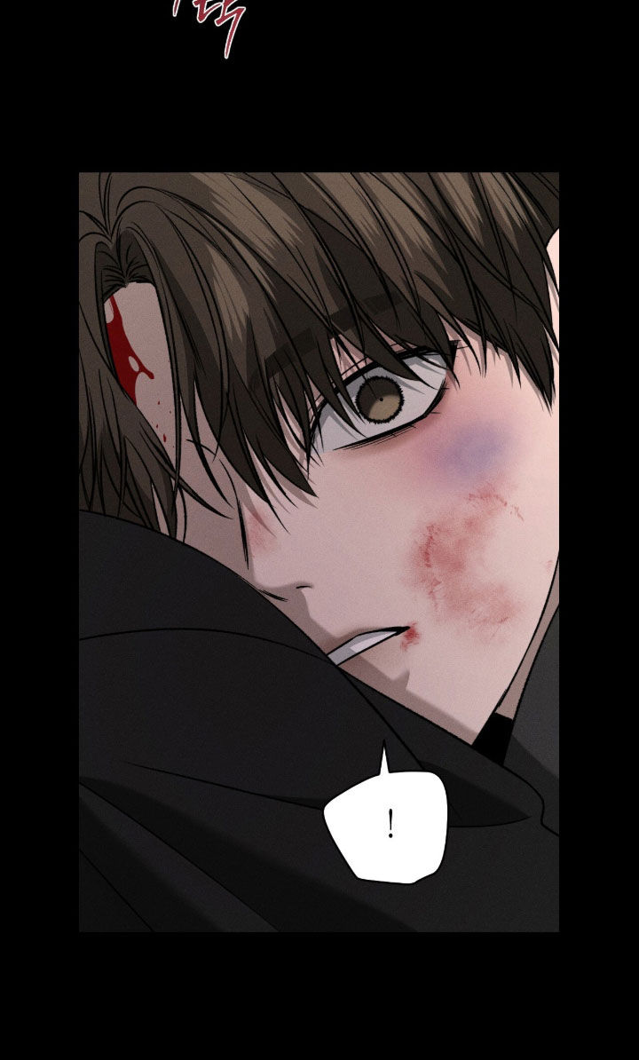 致命伪装在线免费观看漫画,第40章：收养3图