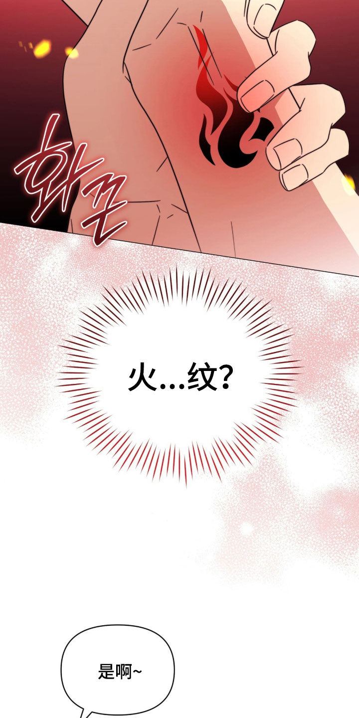 越级引导漫画,第37章：火纹5图
