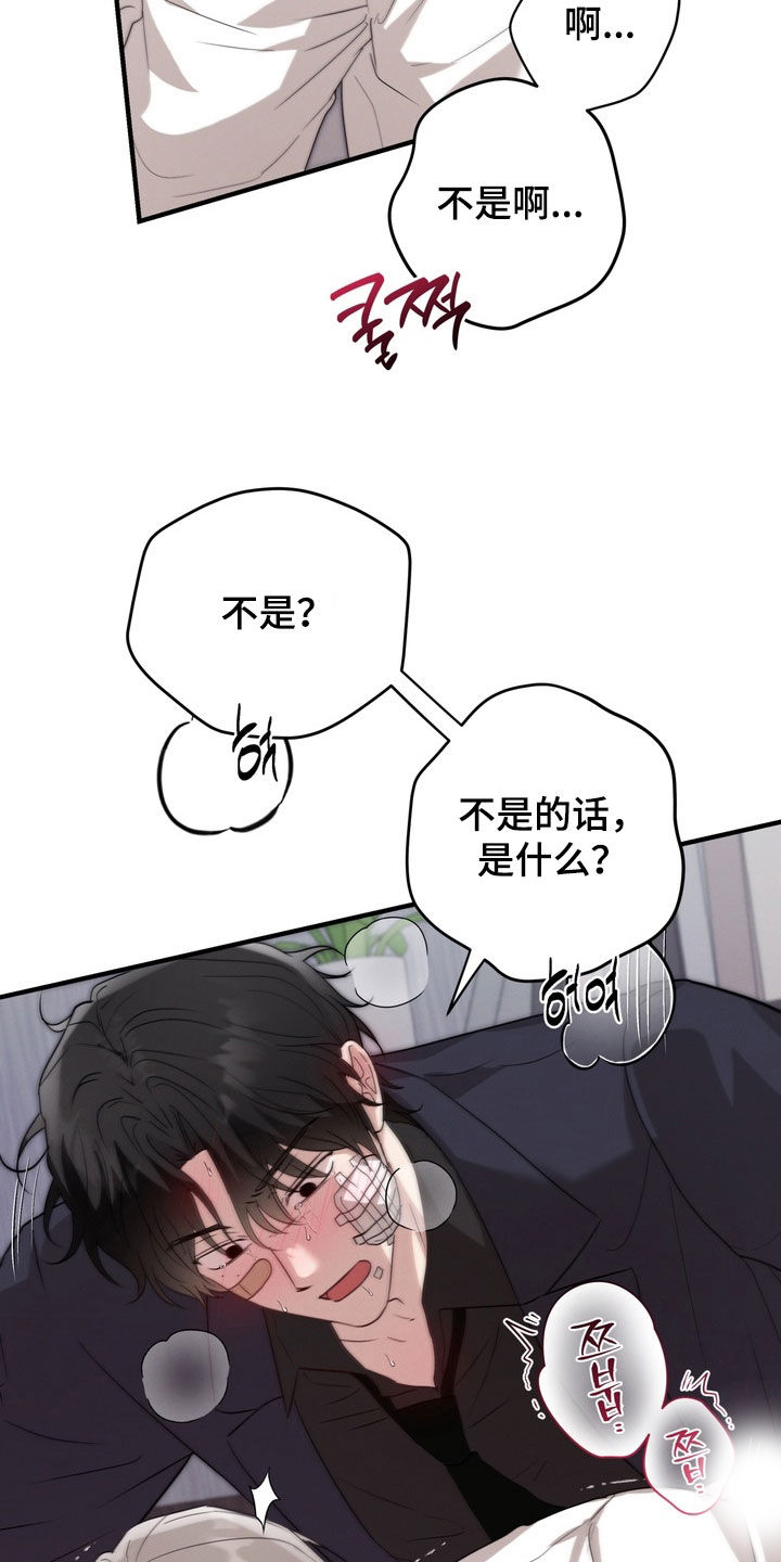 金主了解一下漫画,第40章：对不起2图