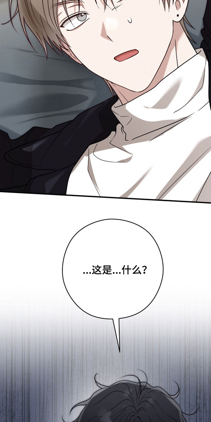 金主了解一下漫画,第34章：做什么工作2图